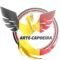 CulturArte Arte Capoeira Charleroi cours de capoeira pour enfants et adultes en Belgique Charleroi Sambreville Wallonie